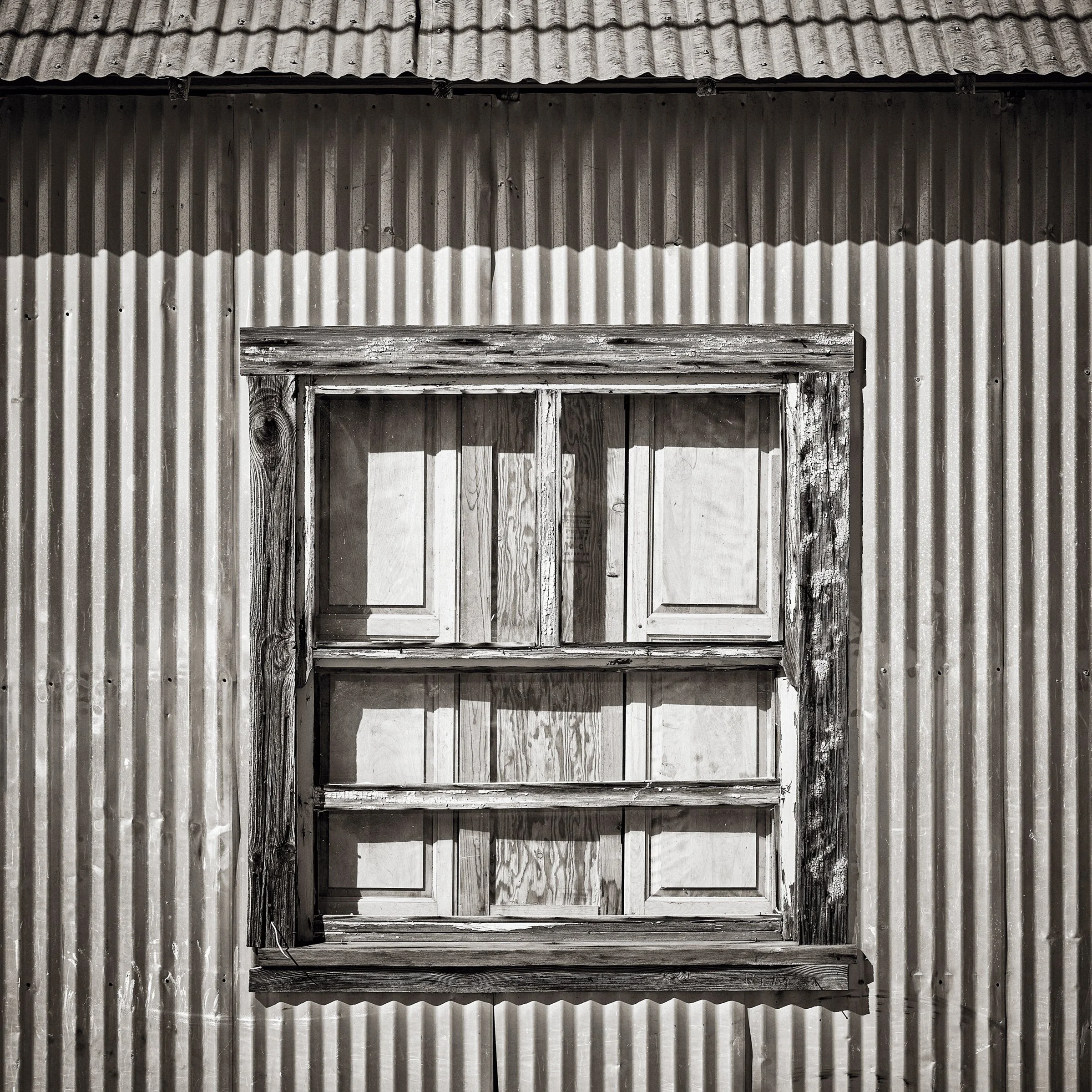 _DSF3717_NO BORDER.jpg