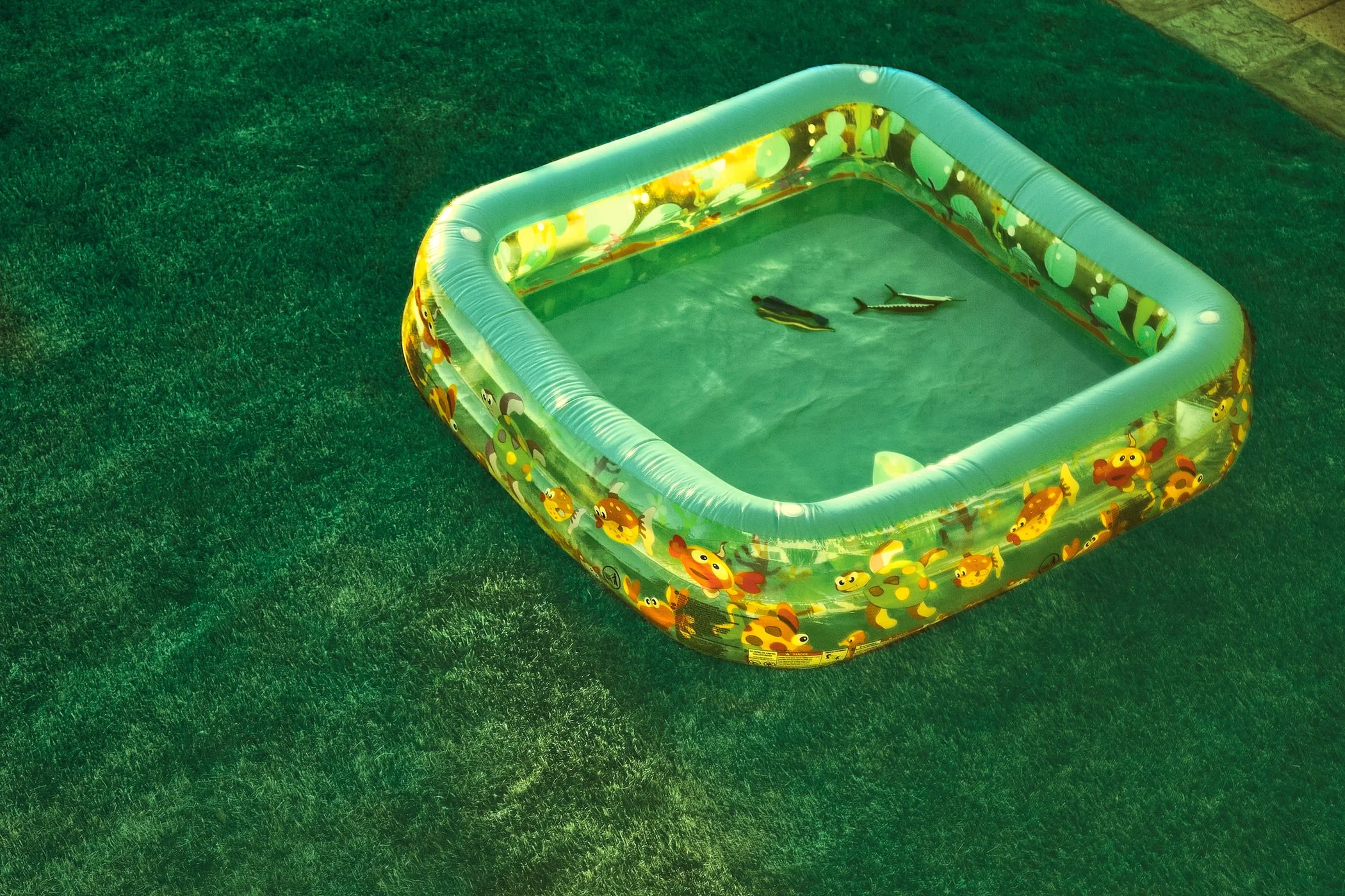 2026 "Summer" 32nd Annual Members Juried Exhibition, Griffin Museum of Photography Juror:Barbara Tannenbaum, Curator of Photography, Chair of Prints, Drawings and Photographs, Cleveland Museum of Art Backyard Texas Photographic Society Juried Exhibit