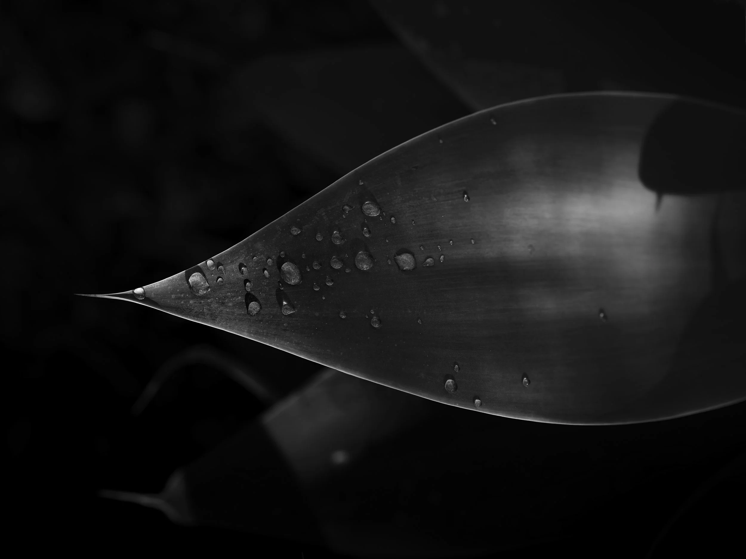 2024 Untitled Water – Sky Praxis Photo Arts International Juried Exhibition