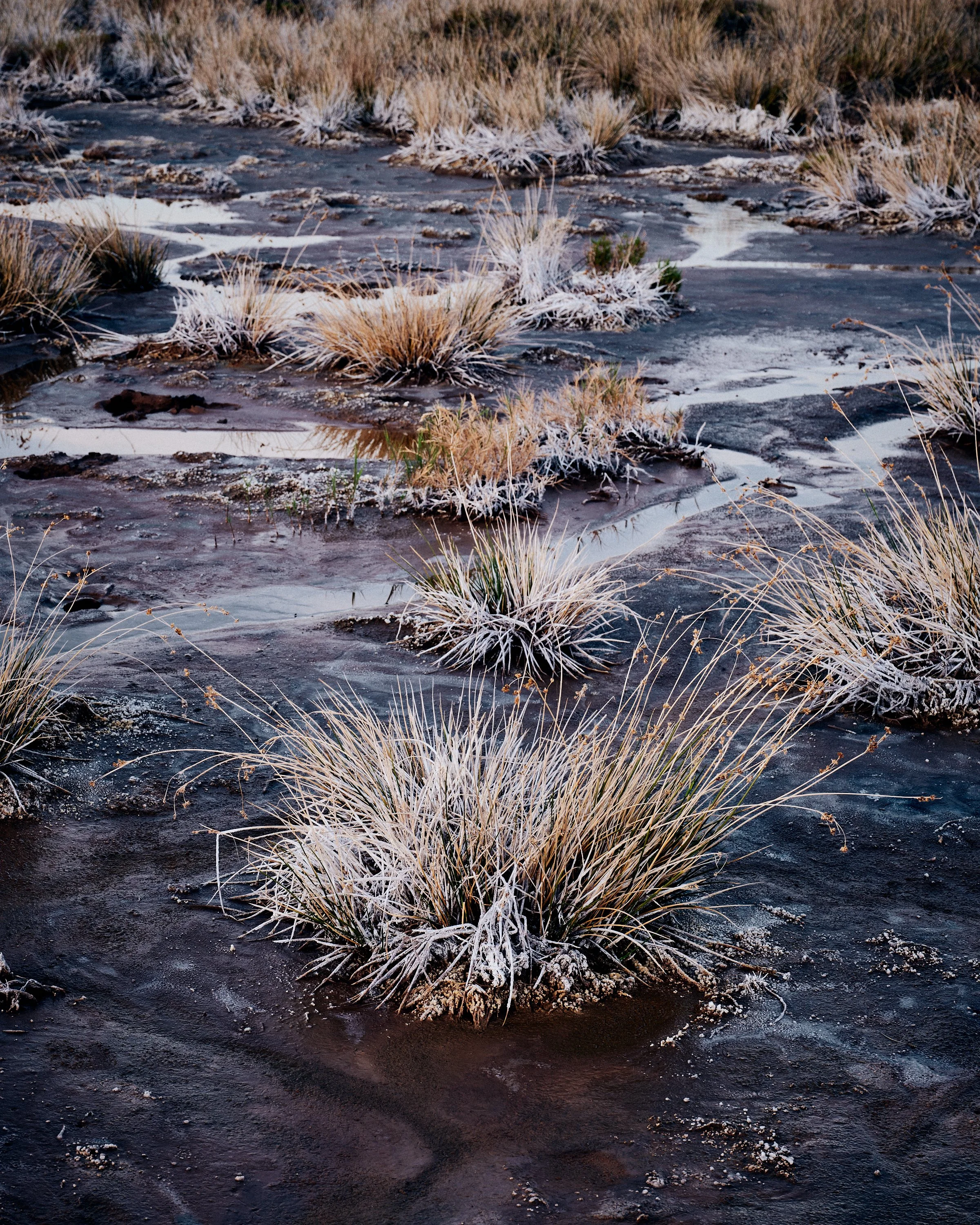 _DSF2435_HDR.jpg