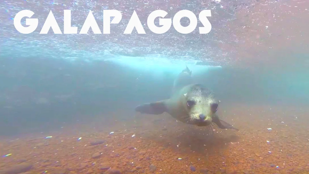 Galapagos Postcard Thumbnail.jpg