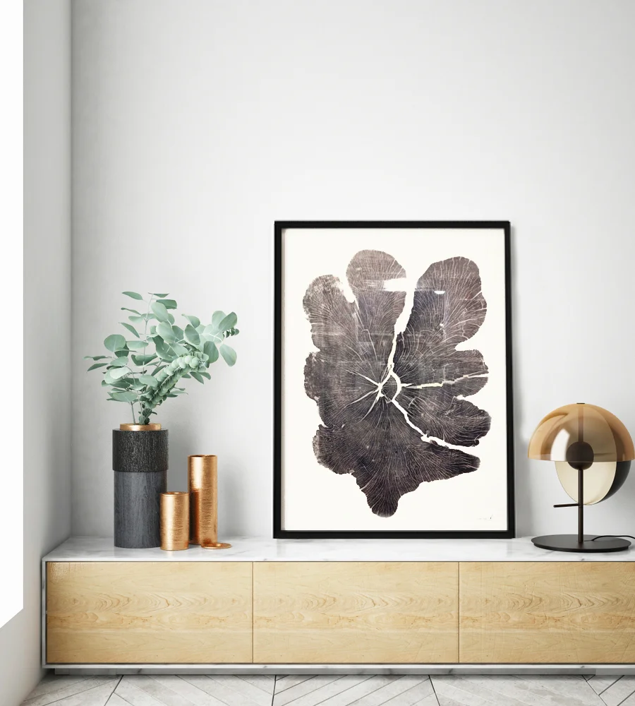 Lobe Maple 40x60in; Limited Edition /20 Huge Maple printed on Japanese Kozuke Ivory paper in black relief ink. The log was obtained from Legacy Lumber in Erin, Ontario.