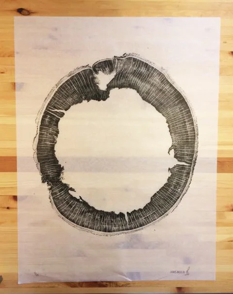 Jaws Beech 24x28in; Limited Edition /25 Beech cookie with very tight ring growth printed on Japanese Kozuke Ivory paper in black relief ink. The log was obtained from Legacy Lumber in Erin, Ontario.