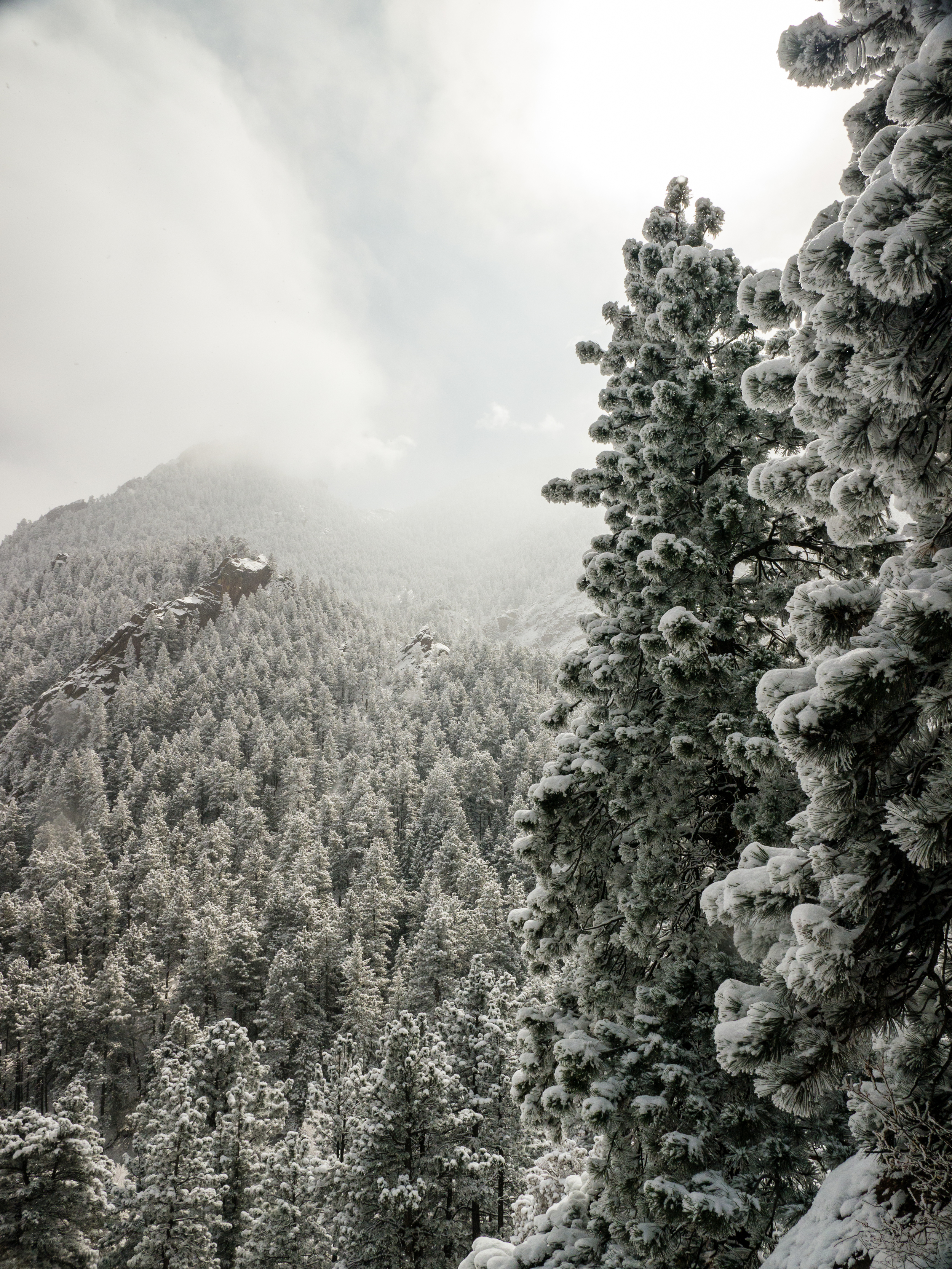 Flagstaff20140302--19.jpg