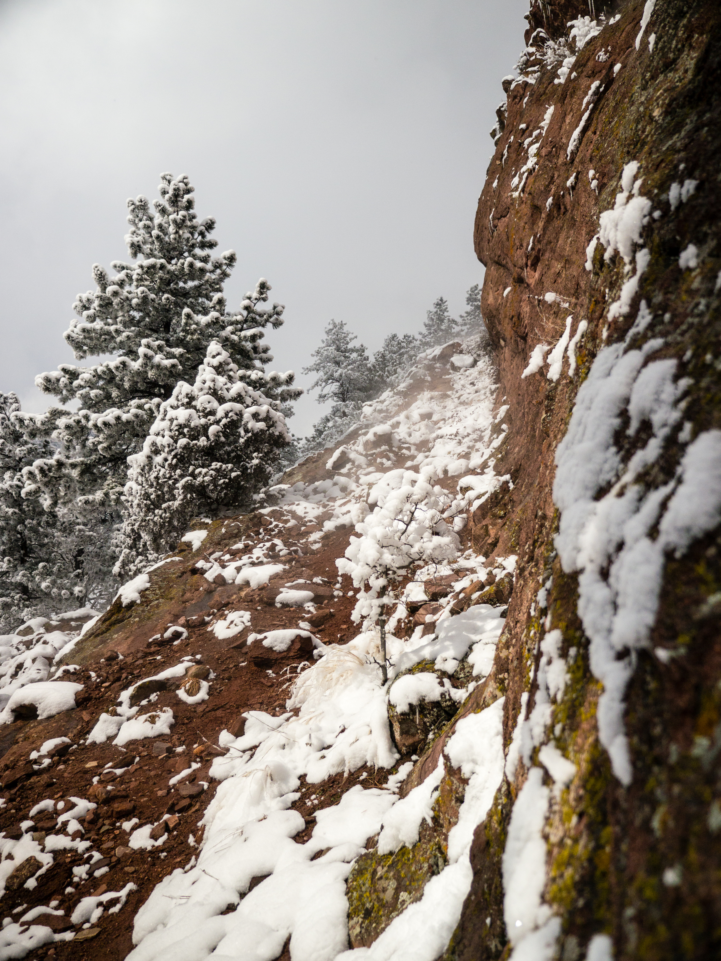 Flagstaff20140302--31.jpg