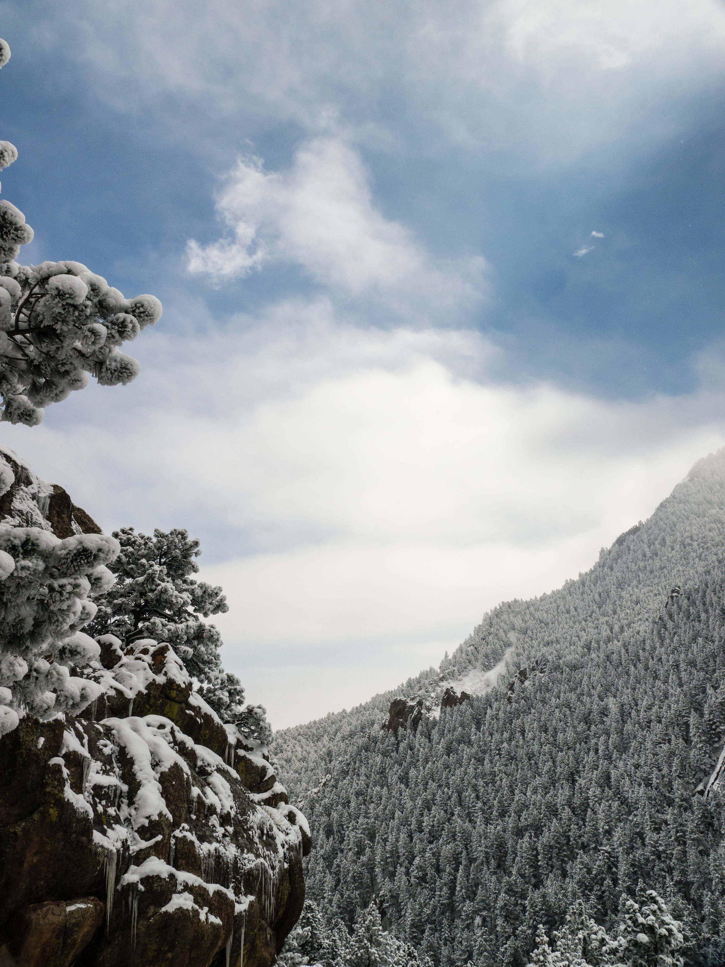 Flagstaff20140302--28.jpg