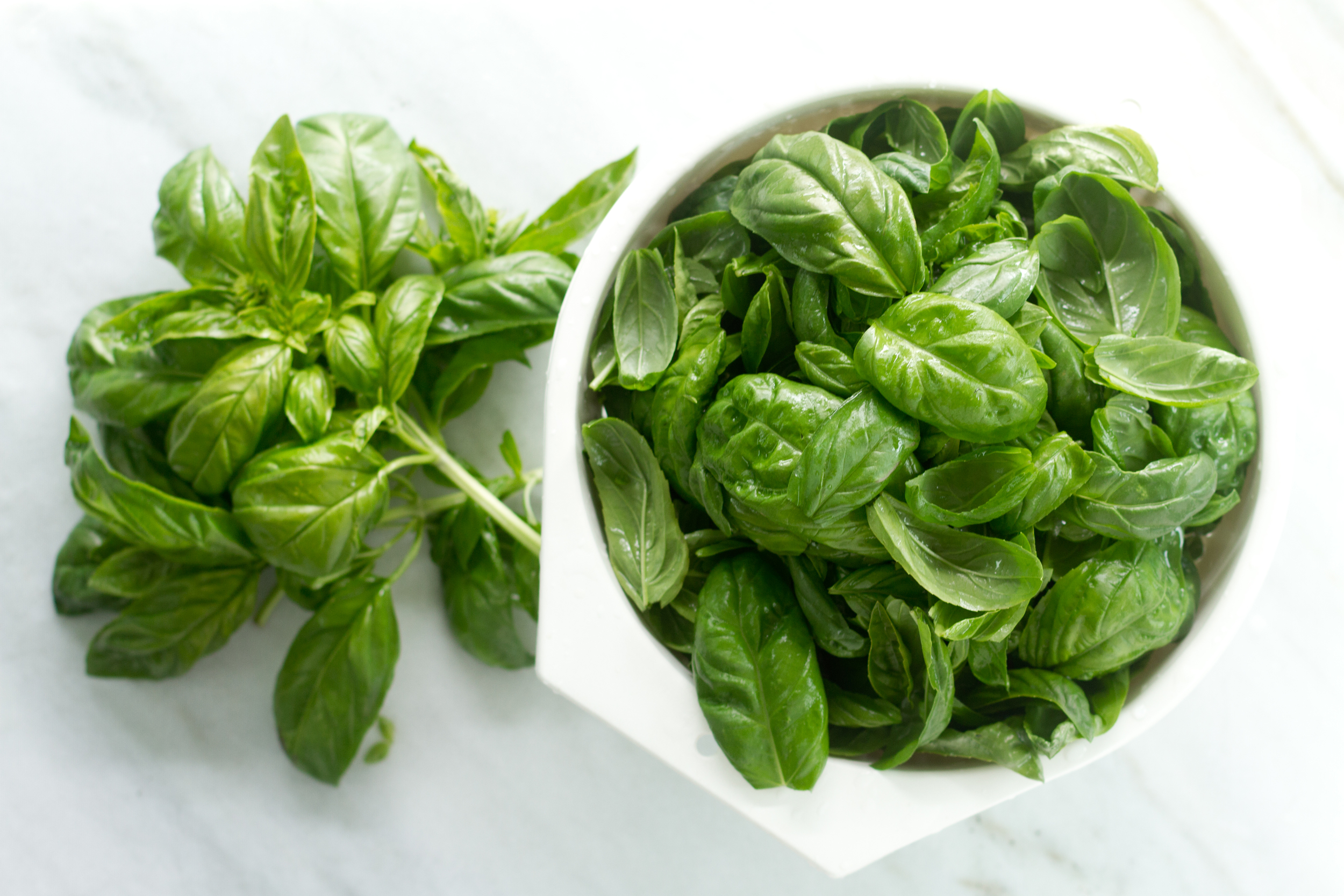 7. Basil