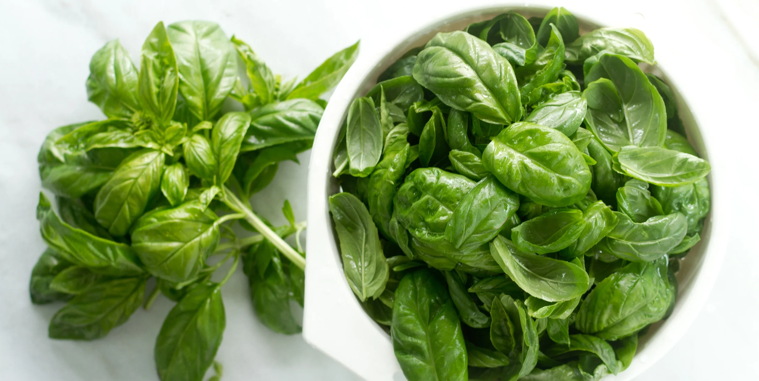 7. Basil