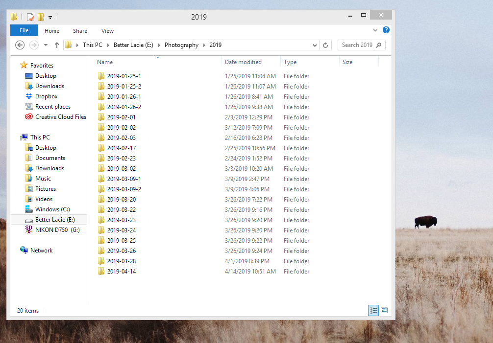 Setup your image folder by year to stay organized
