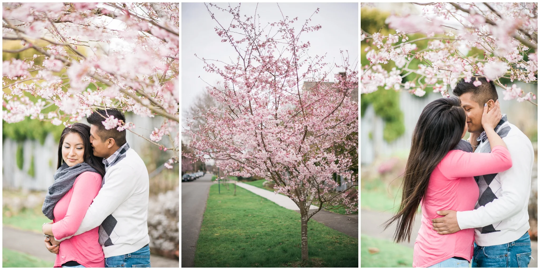 Christian & Vanessa's Bellingham Cherry Blossom engagement