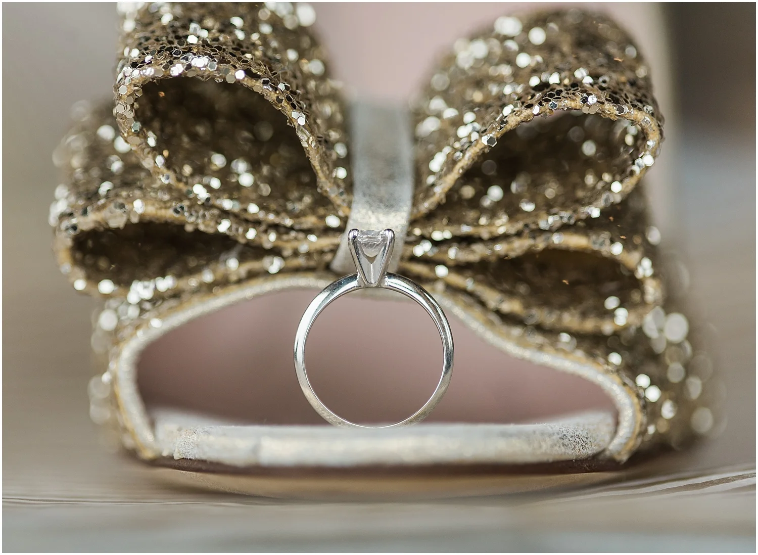 Mukilteo Rosehill Community Center Wedding. Winter Glitter Wedding. Blush, Champagne, Gold