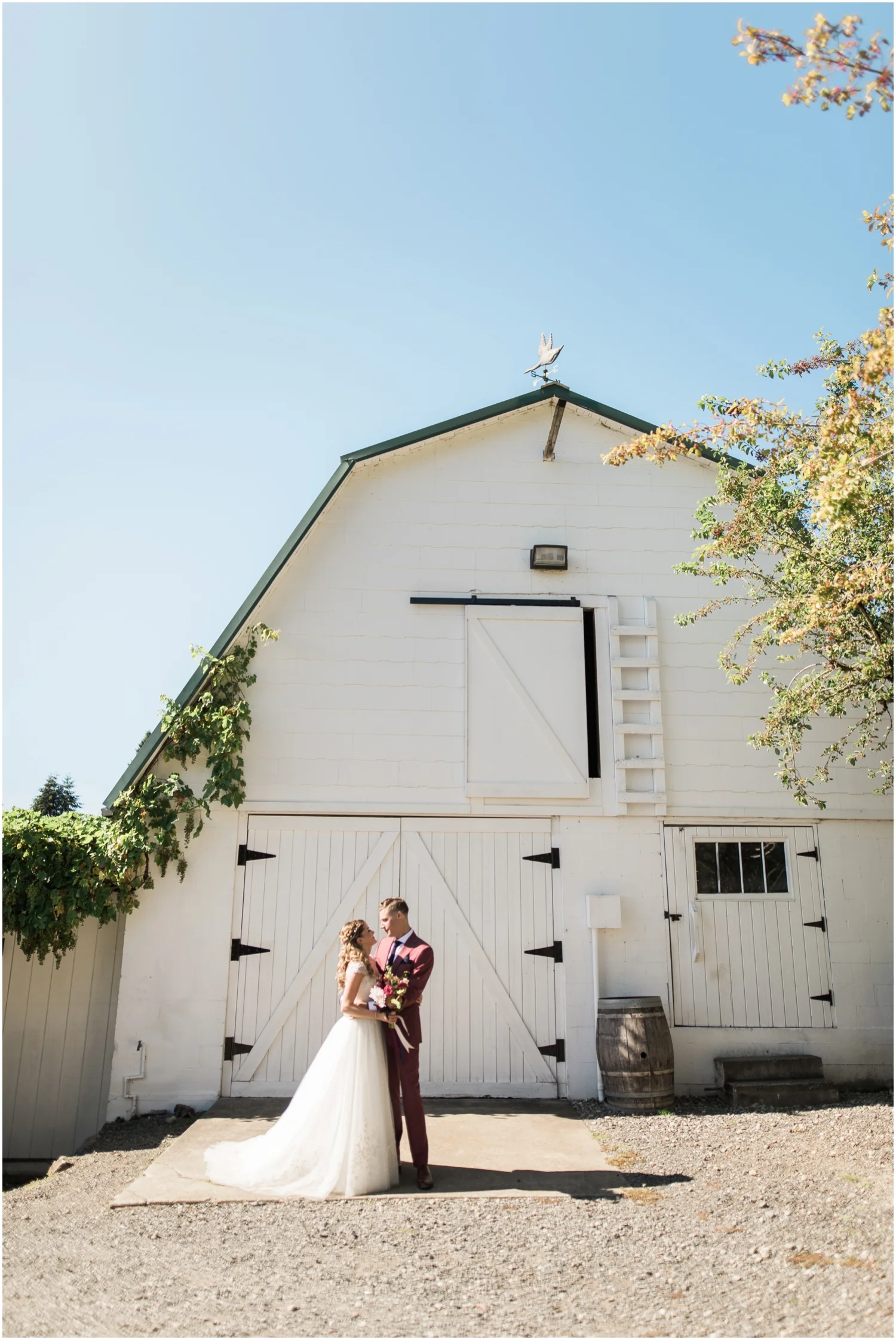 Delille Cellars Wedding - andrea and jay