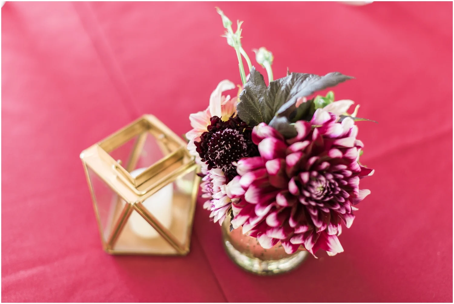 Delille Cellars Wedding - andrea and jay