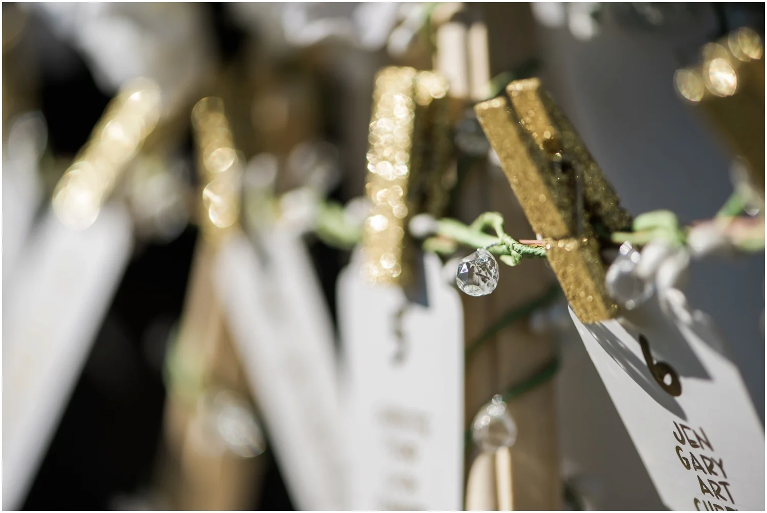 Lake Whatcom Waterfront Tent Wedding. Pablo and Emily. Bellingham Wedding Photographer