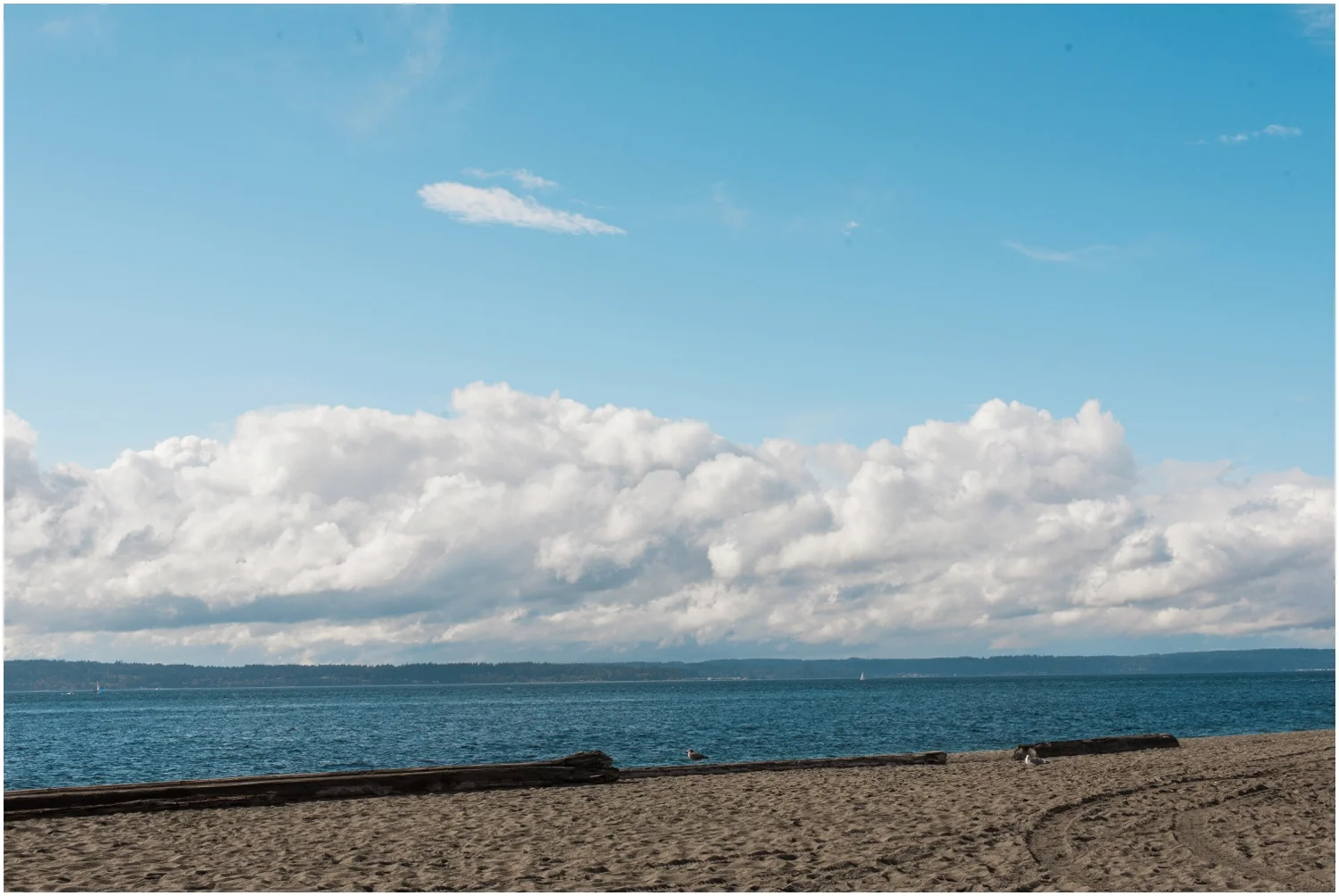 Bri & Brian's Pike Place Market & Golden Garden Bath House Wedding