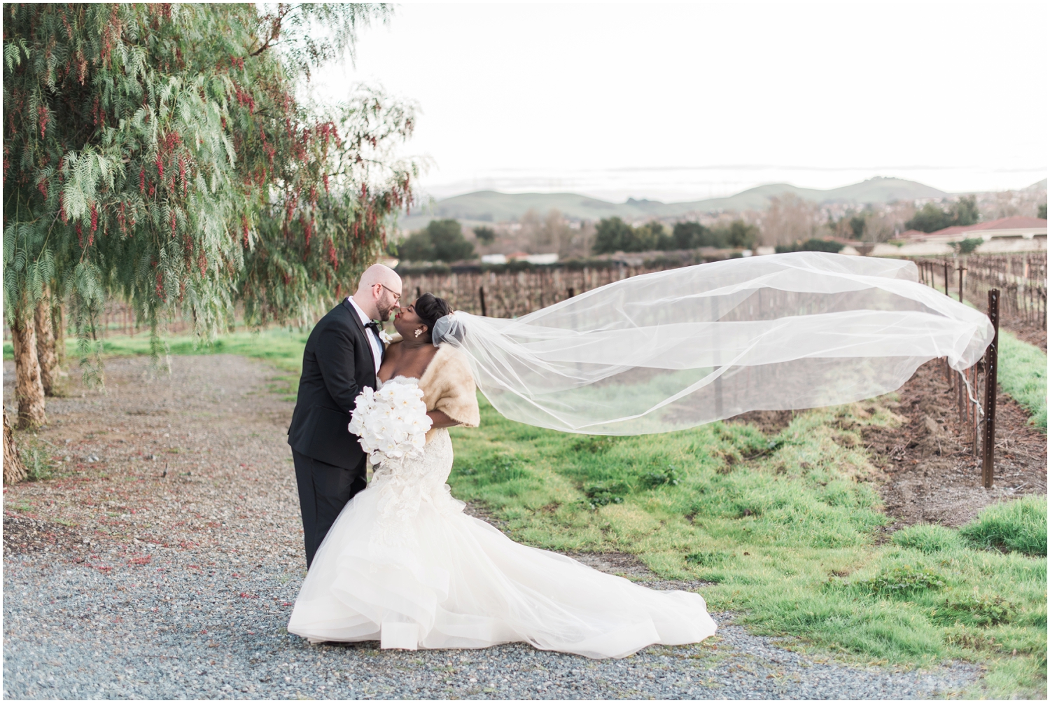 Casa Real Wedding, Destination Winter Wedding, Vineyard Wedding