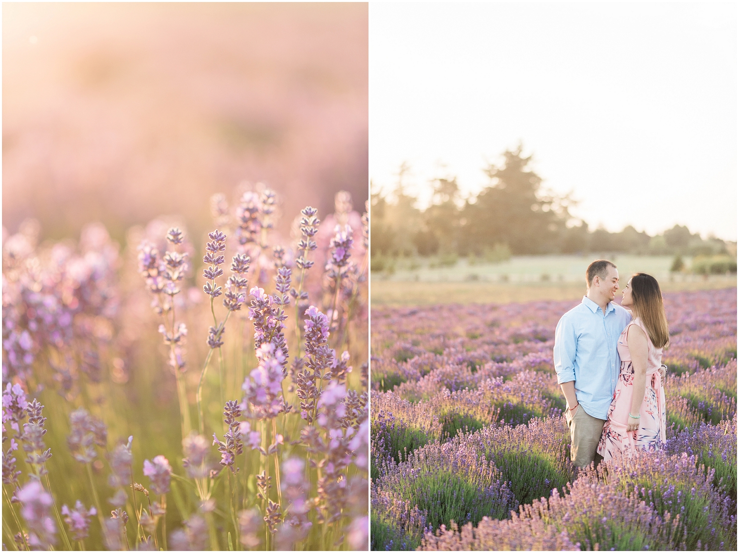  Whidbey Island, PNW Engagment Photographer, Lavendar Farm, Rose Gold, Romantic Photography, Ebeys Landing, Sunset 