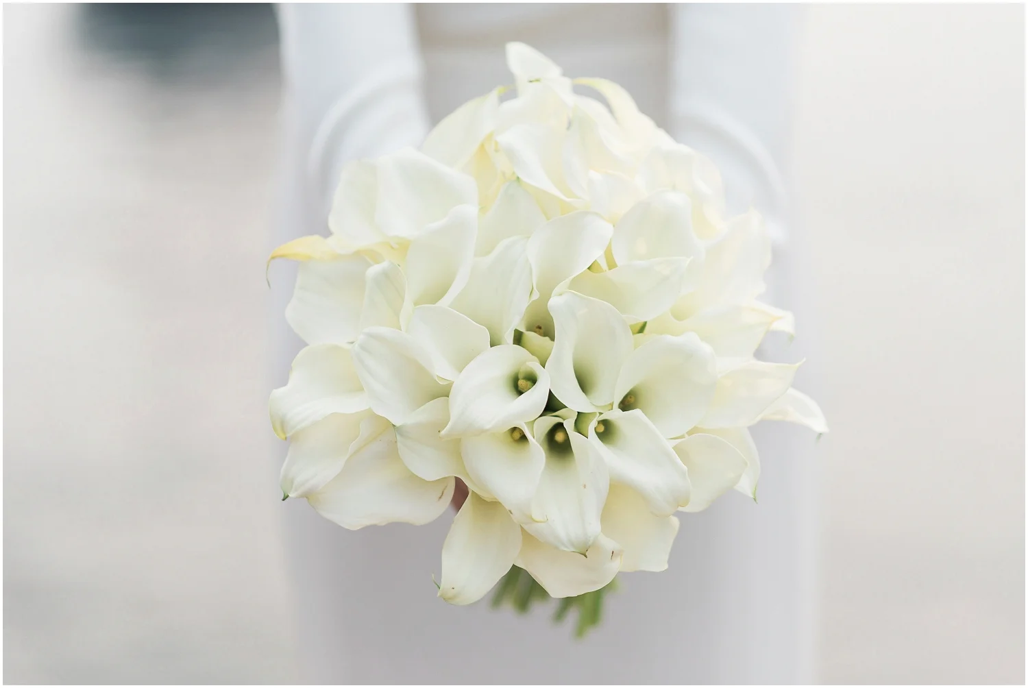 Delille Cellars, Snohomish Wedding Photographer, B. Jones Photography, Elegant Wedding, Valentino, Woodmark Hotel, Kirkland, Woodinville, Minimalist, HIgh End, Classic