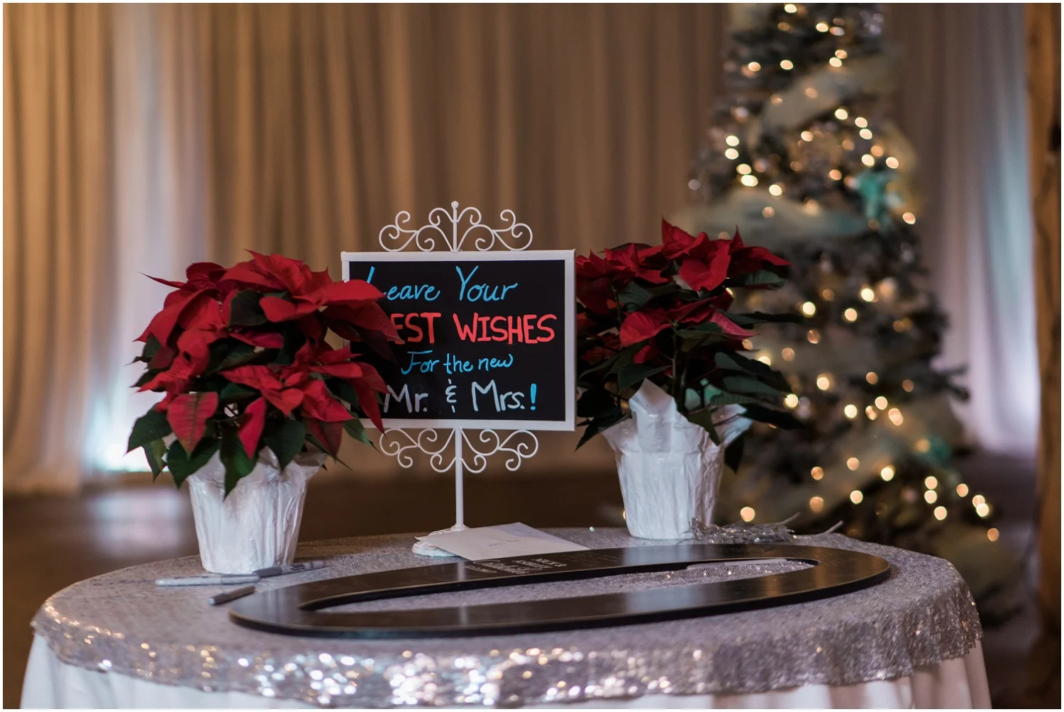 Snohomish Wedding Photographer, Lord Hill Farms, Winter Wedding, Christmas Wedding, Tiffany Teal, Starwars, MINI CLUB, Mini cooper,