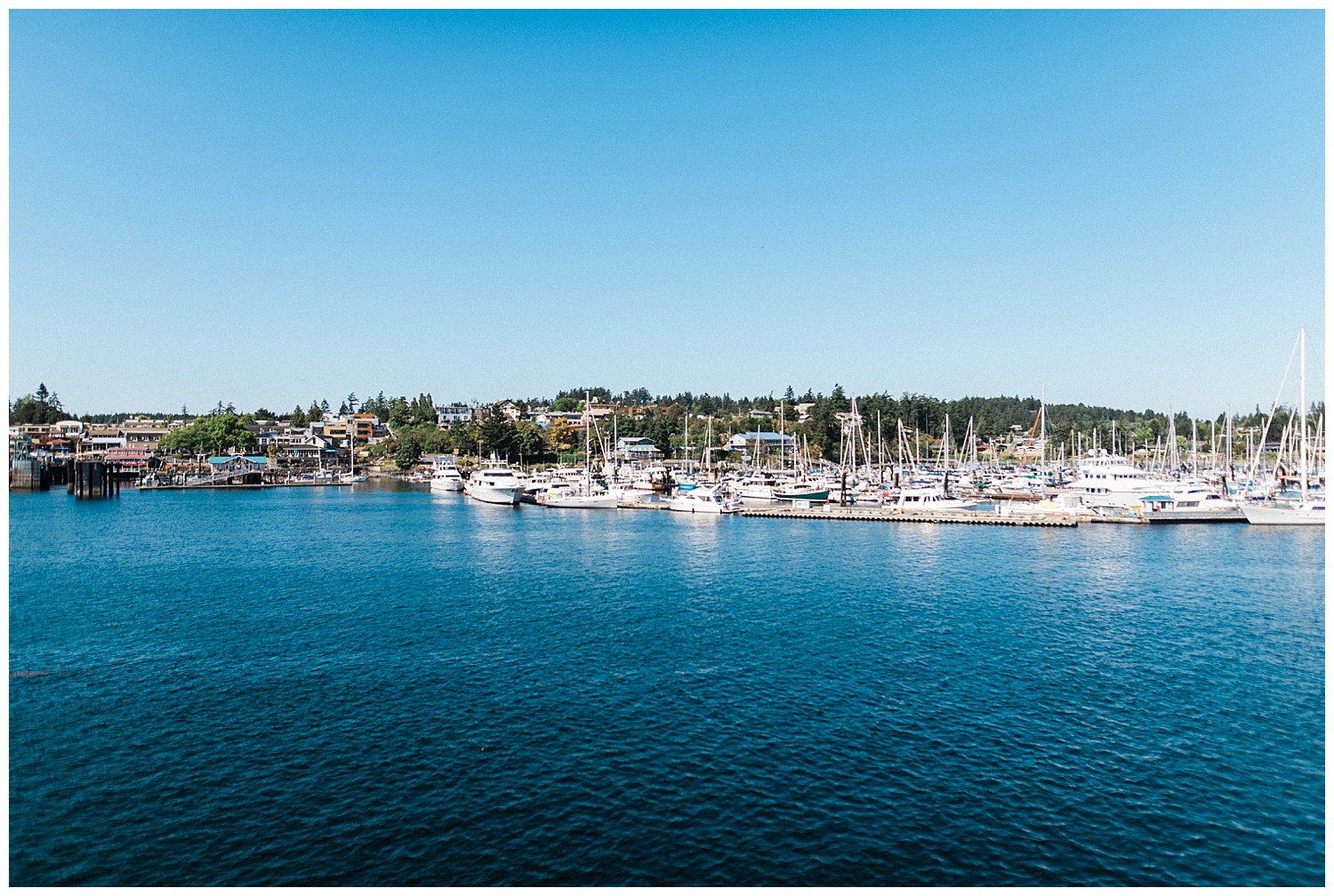 San Juan Island, Whale Watching Charter Wedding, Friday Harbor,