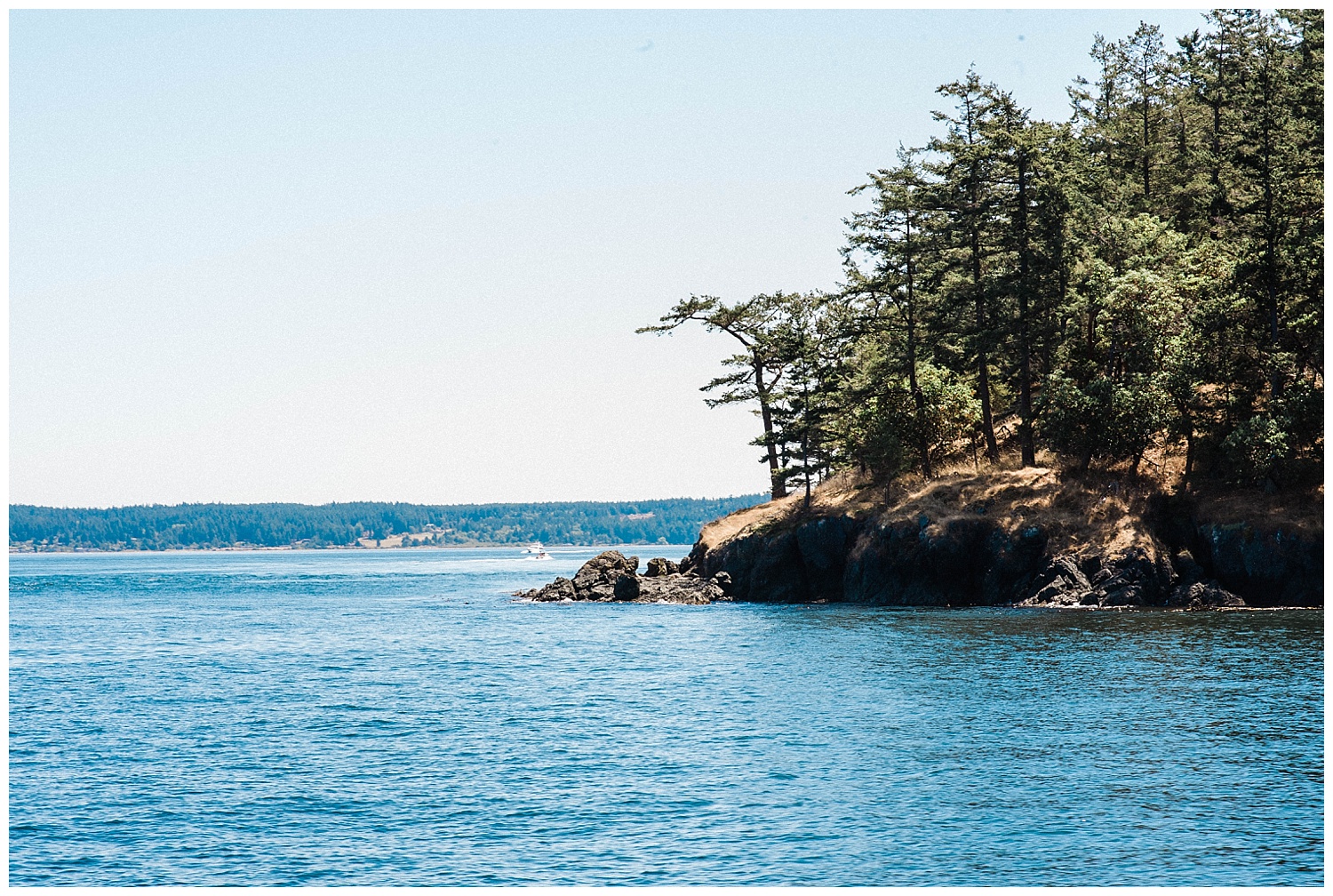 San Juan Island, Whale Watching Charter Wedding, Friday Harbor, 