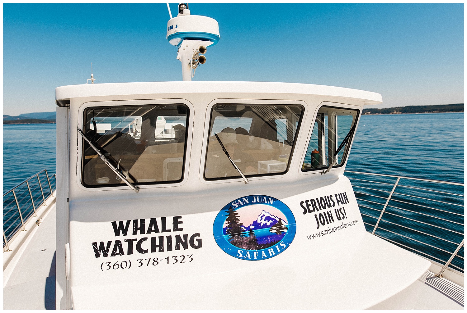 San Juan Island, Whale Watching Charter Wedding, Friday Harbor, 