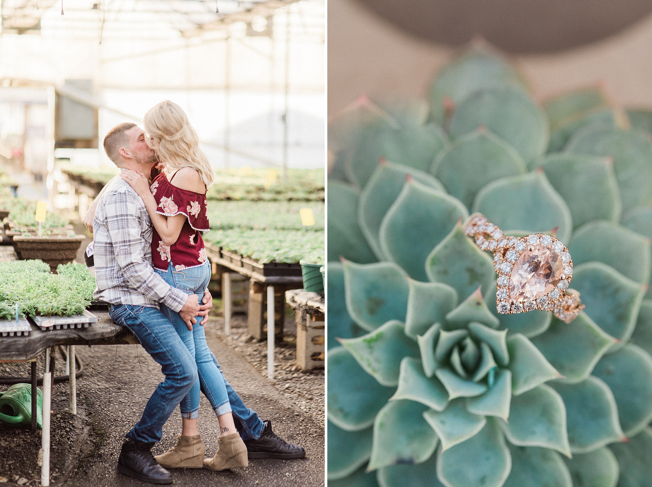 Snohomish Greenhouse nursery engagement session. Sunset. Seahawk