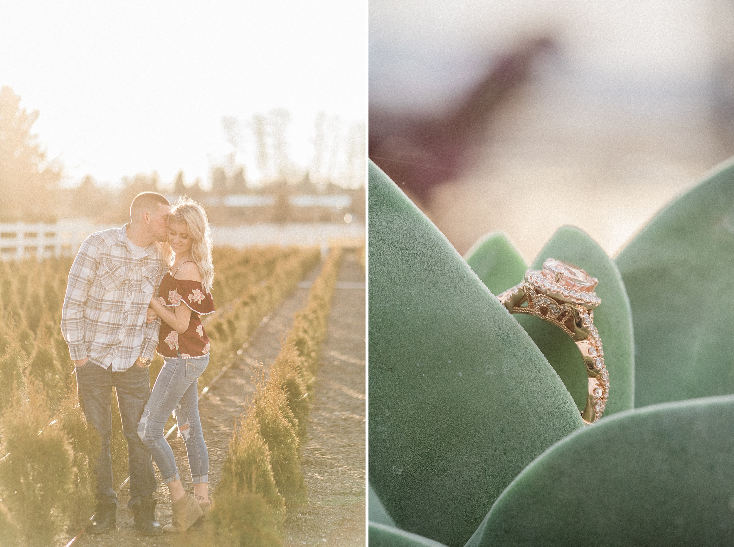 Snohomish Greenhouse nursery engagement session. Sunset. Seahawk