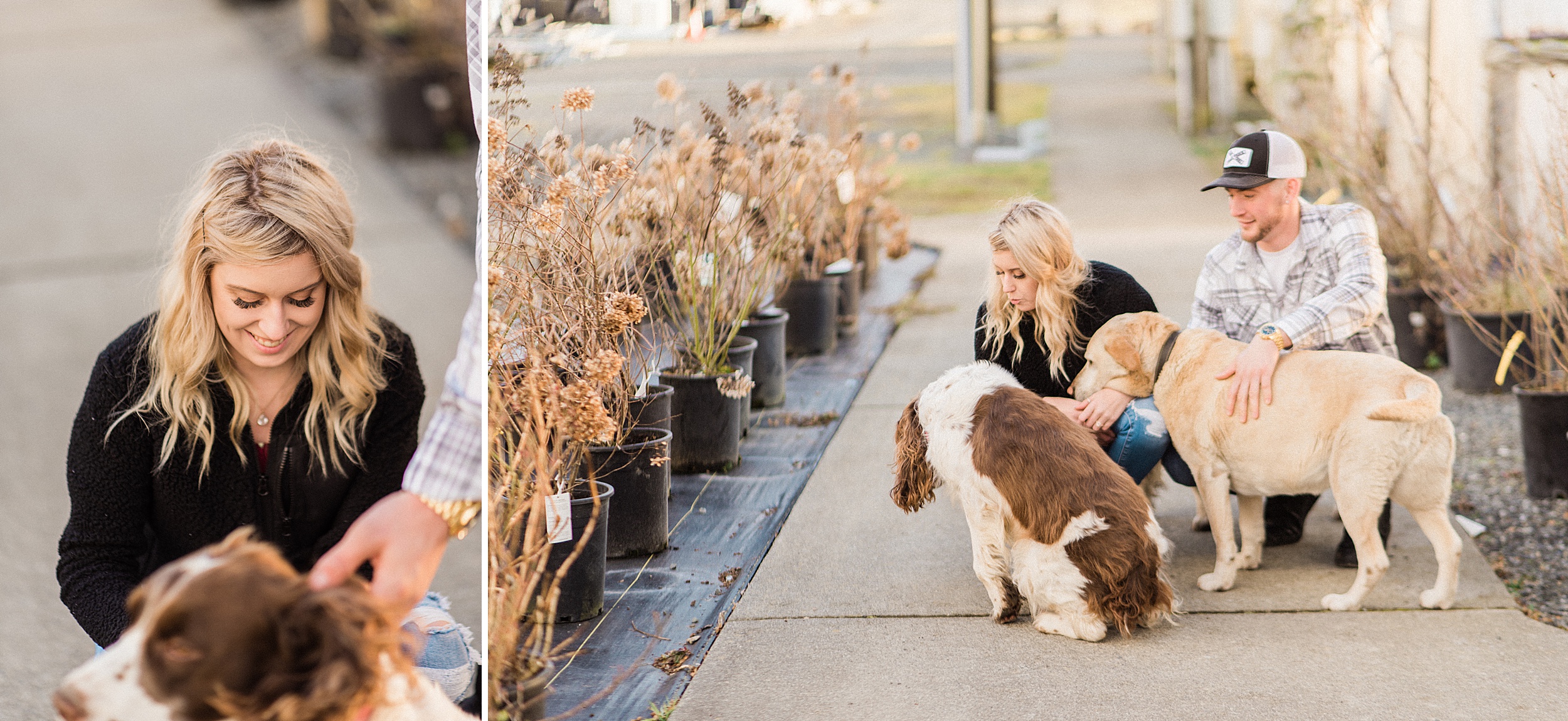 Snohomish Greenhouse nursery engagement session. Sunset. Seahawk