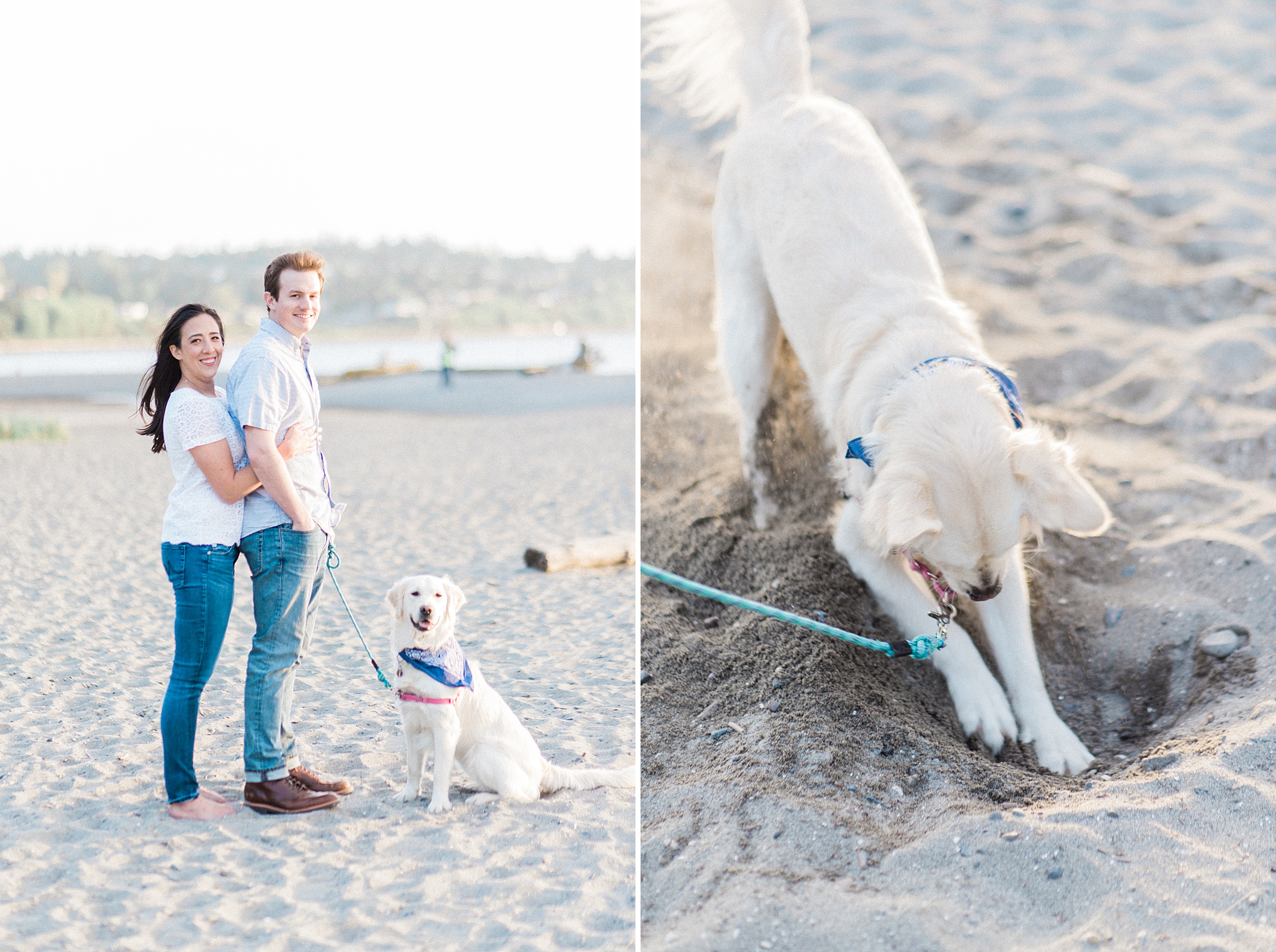 Carkeek Park Seattle Beach engagement Session with golden retrei