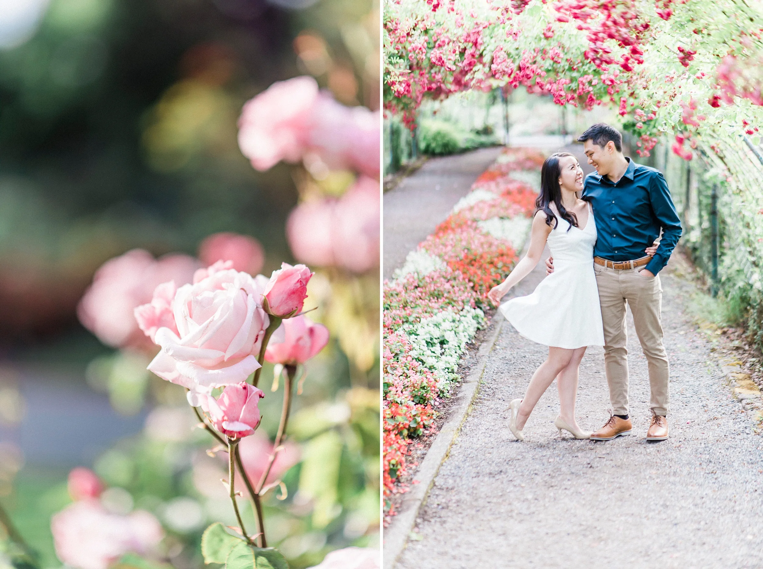 point defiance rose garden engagement photos.