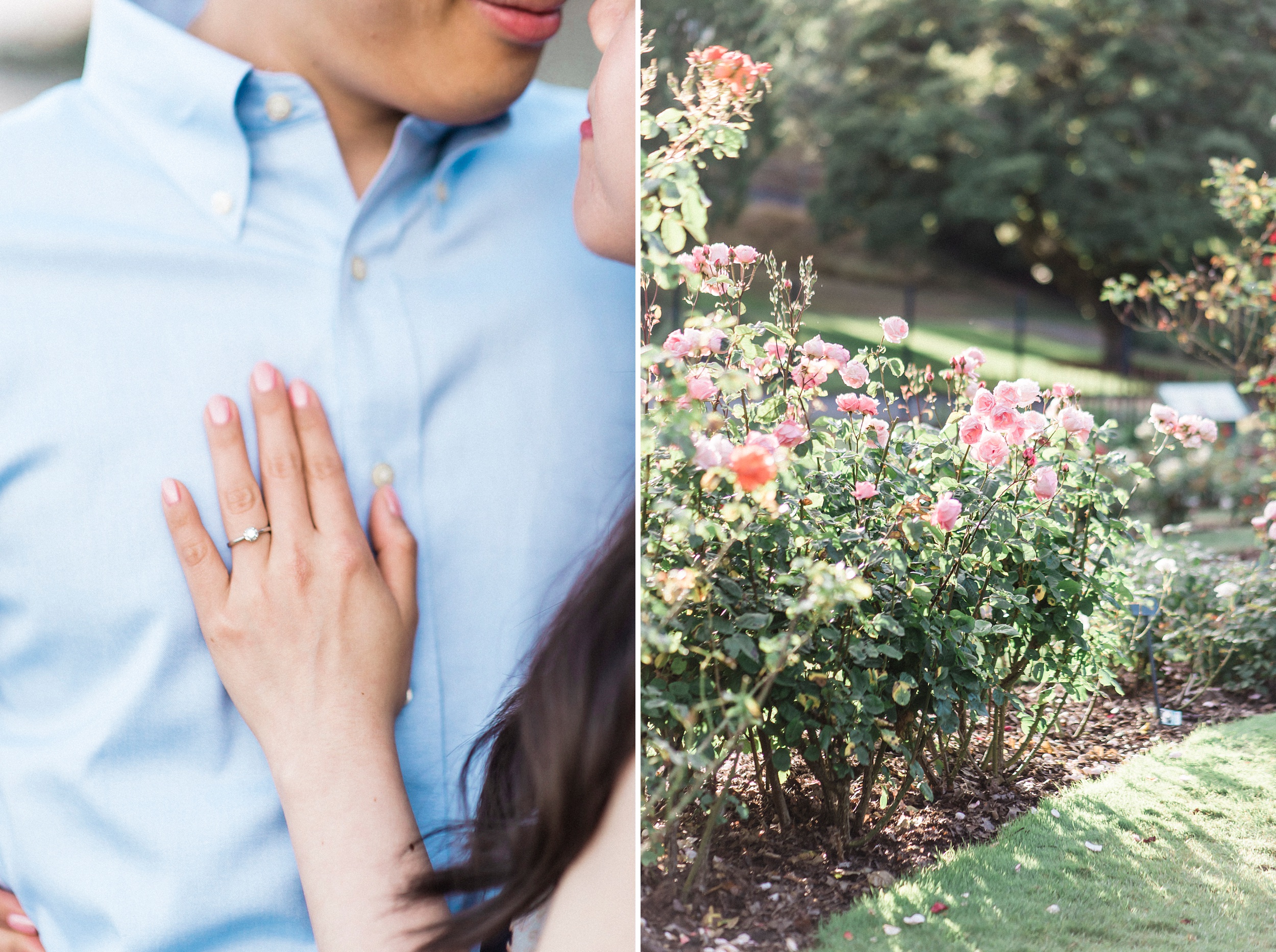 point defiance rose garden engagement photos.