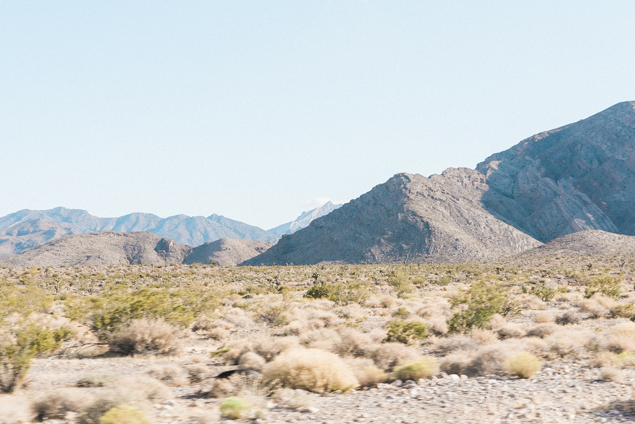 Mount Charleston Adventure Elopement Wedding Photography. Las Ve