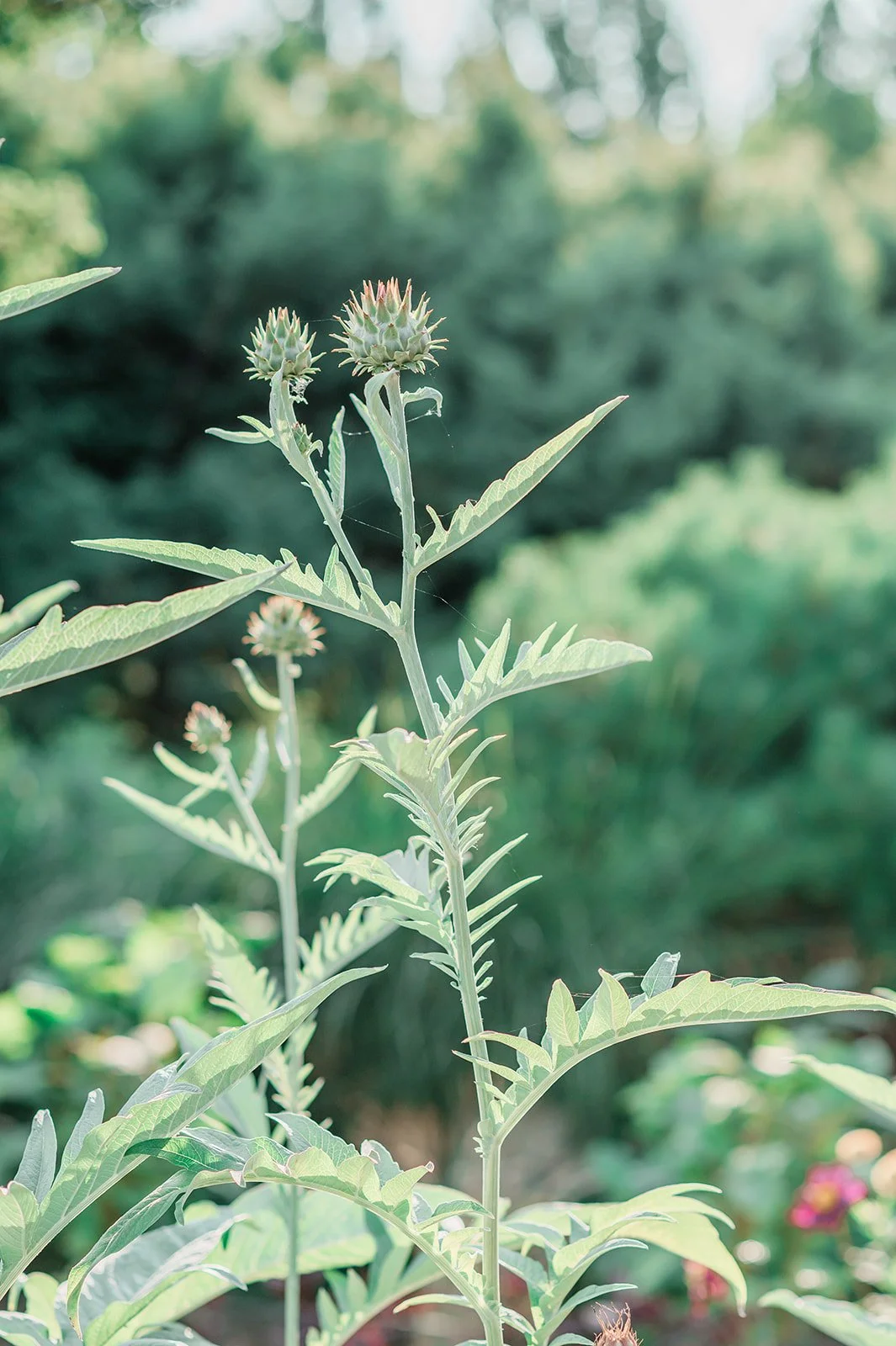 Bob & erin_s Wedding at Willows Lodge-57.jpg