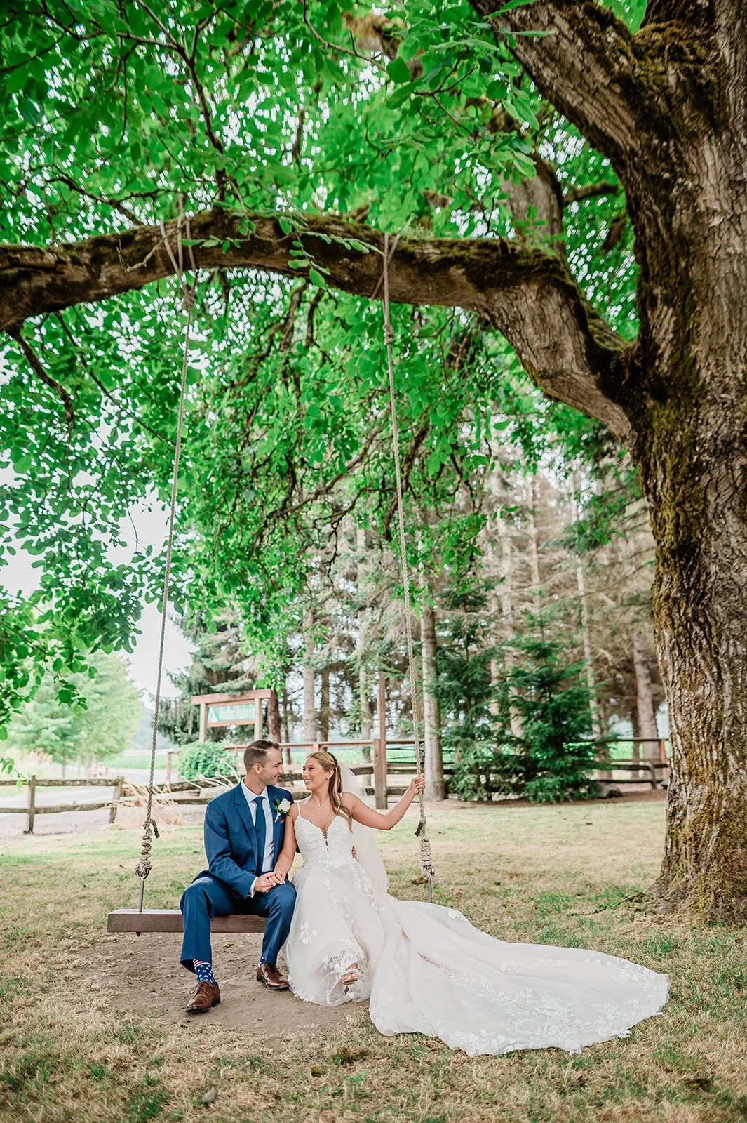 woodland-meadow-farms-oak-tree-swing.jpg