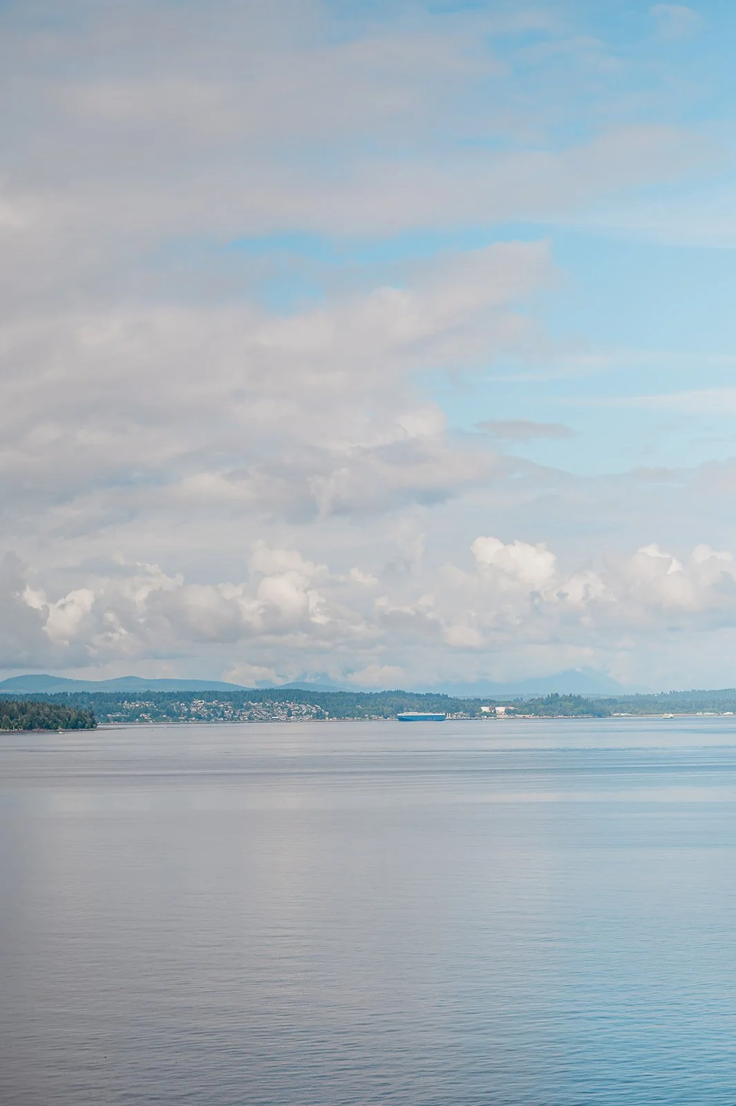 saltys-on-alki-wedding-24.jpg