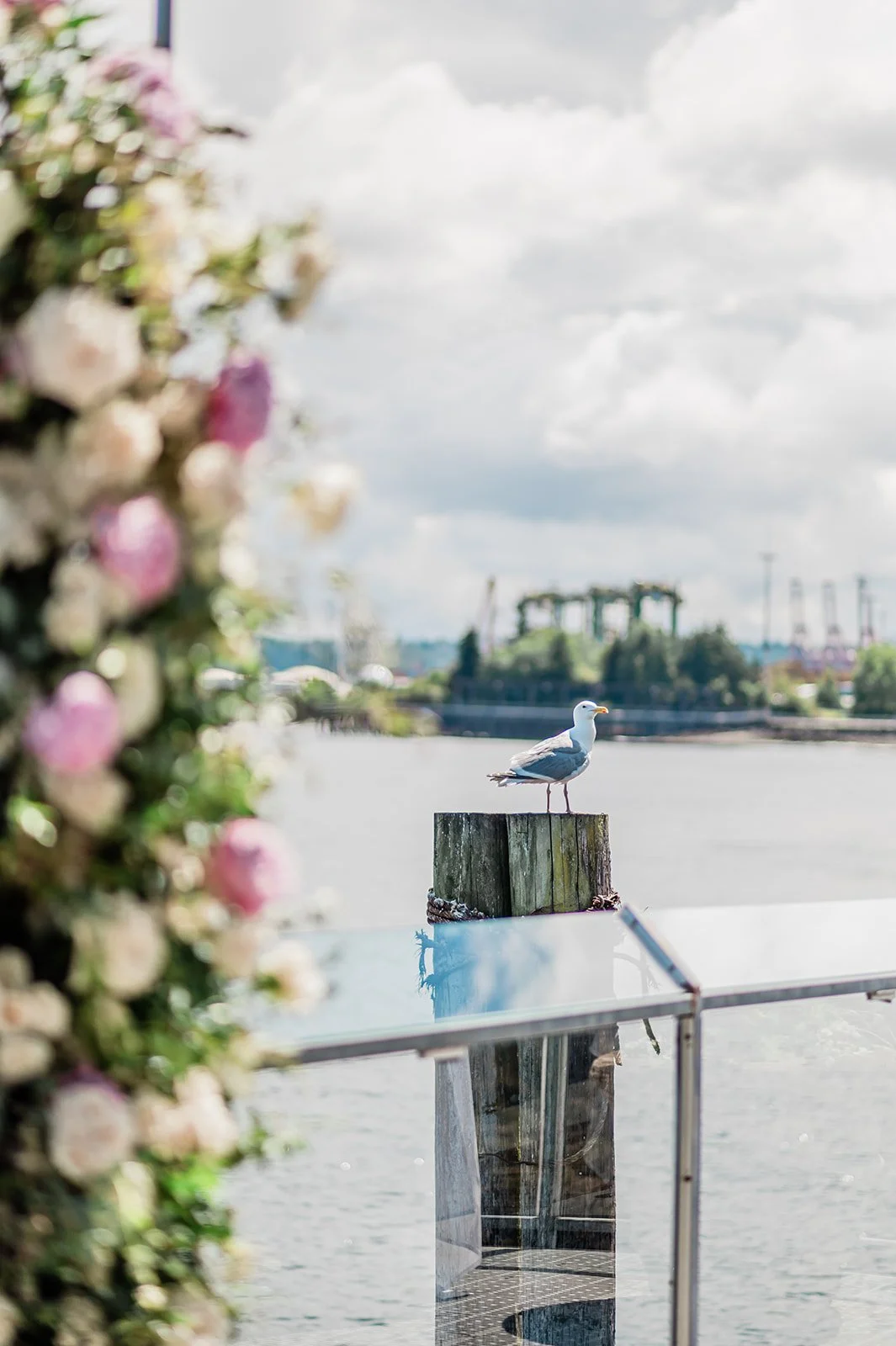 saltys-on-alki-wedding-55.jpg