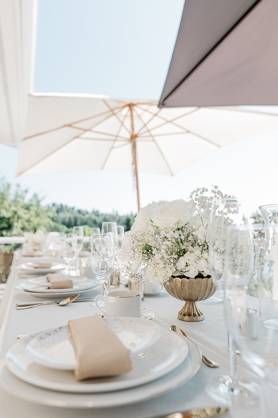 B. Jones Photography | seattle wa engagement photographer | seattle wedding photographer | wedding photographers near me | wedding pictures seattle | Woodmark Wedding | Dog Wedding Seattle