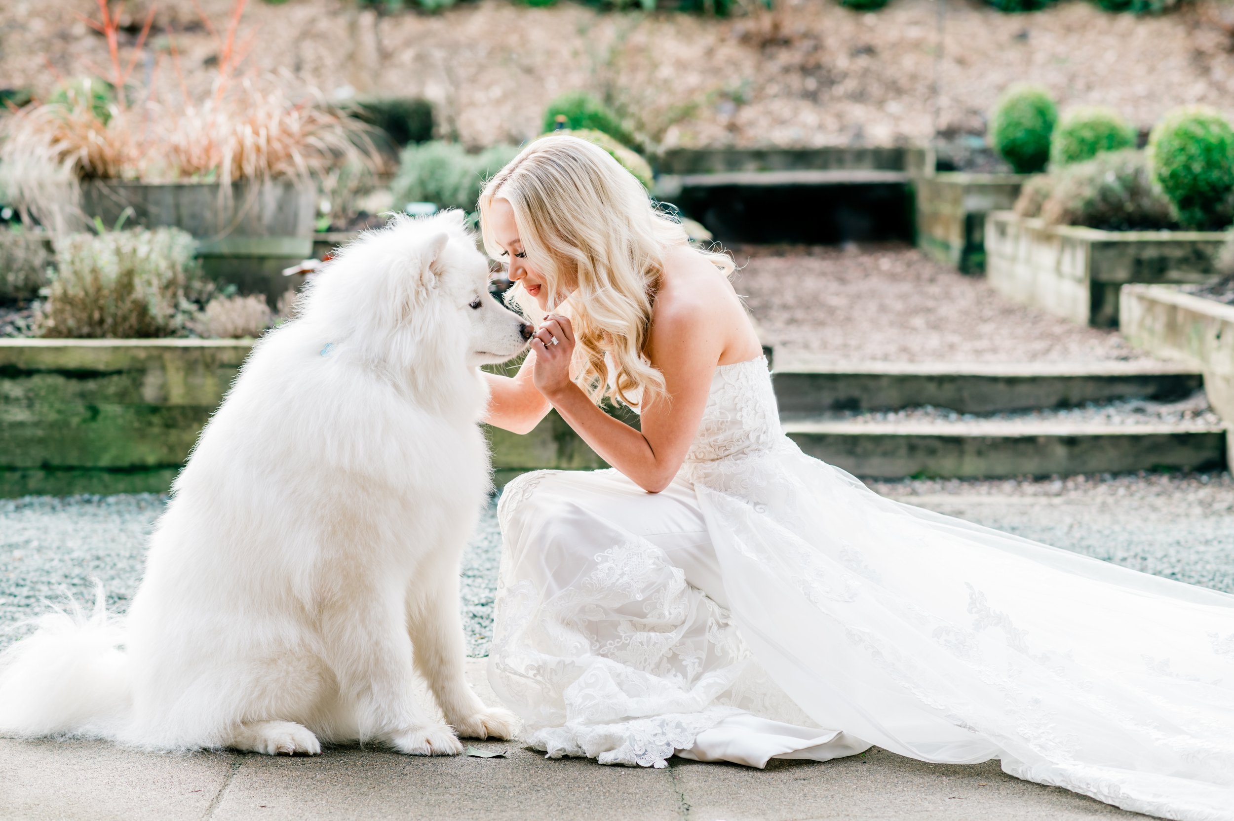 A woman in a wedding dress kneeling down next to a large, white fluffy dog outdoors.