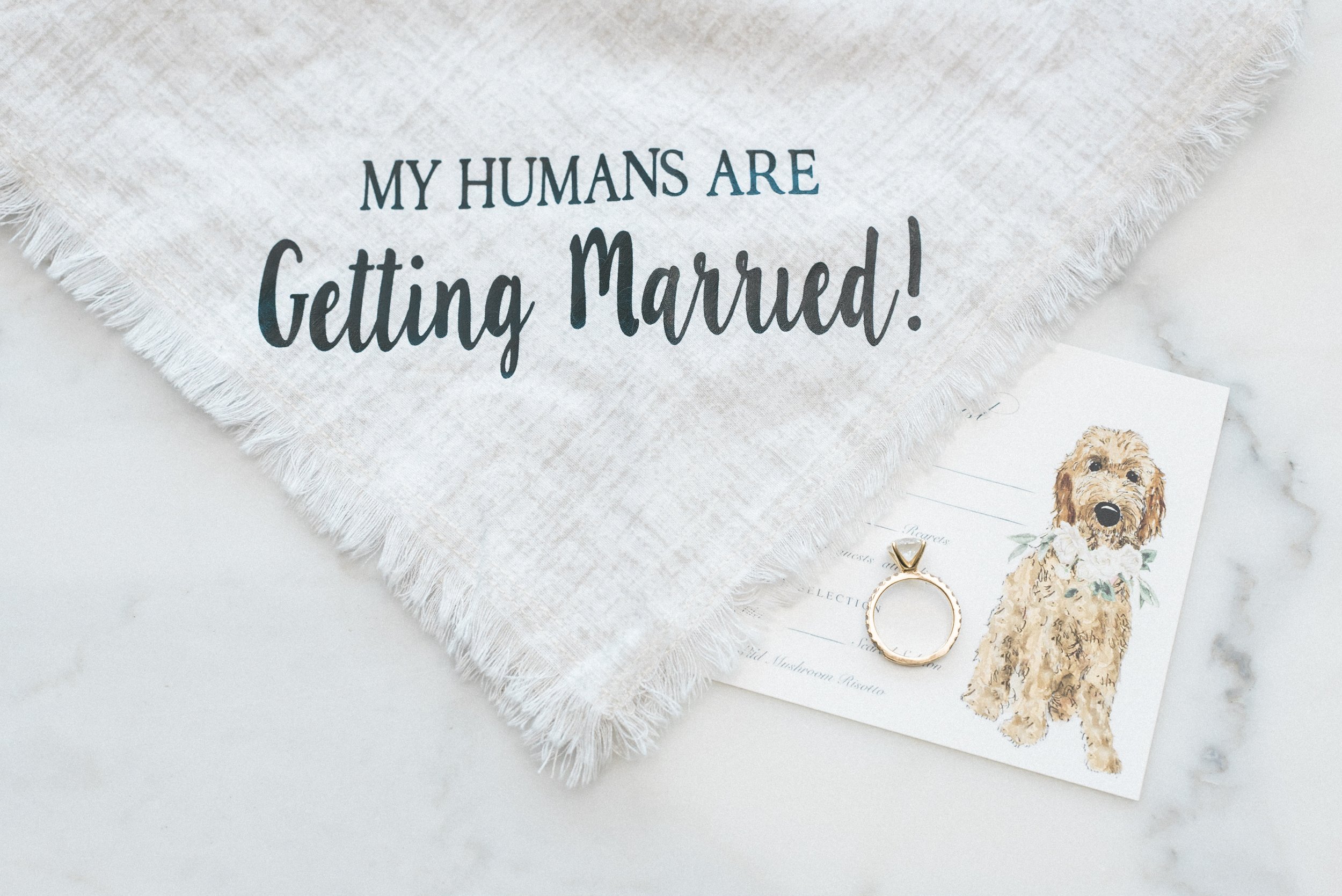 Custom dog illustration on wedding stationery at Seattle wedding — B. Jones Photography