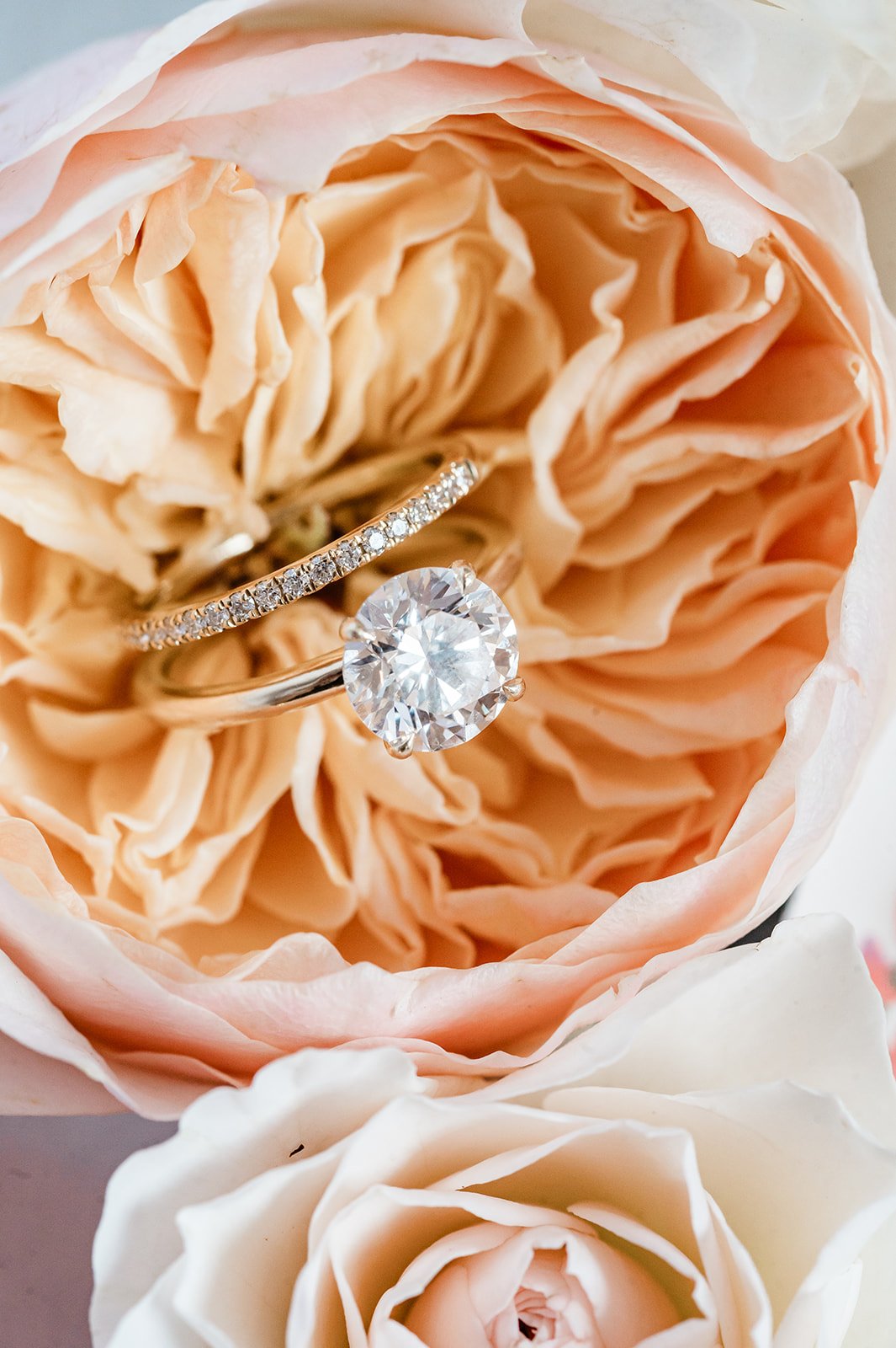 Close-up of two engagement rings in a flower, one with a large round diamond and the other with a row of small diamonds, surrounded by light pink and white roses.
