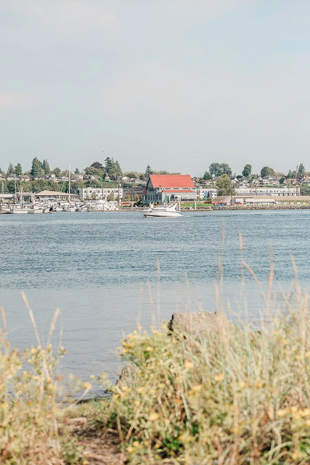View from Jetty Island looking across the water toward Everett Washington waterfront through coastal wildflowers