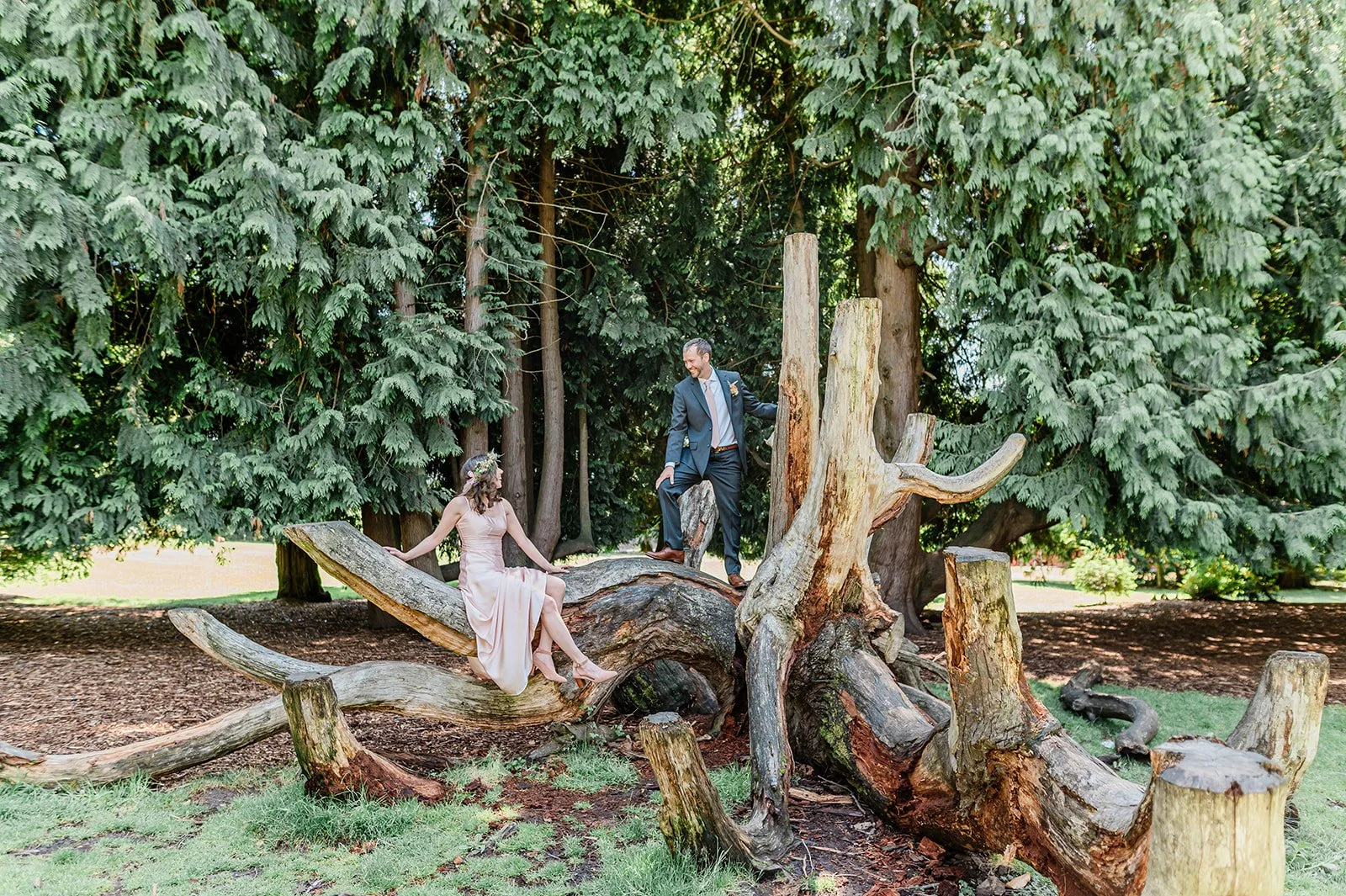 Couple exploring gnarled tree trunks at Volunteer Park Seattle