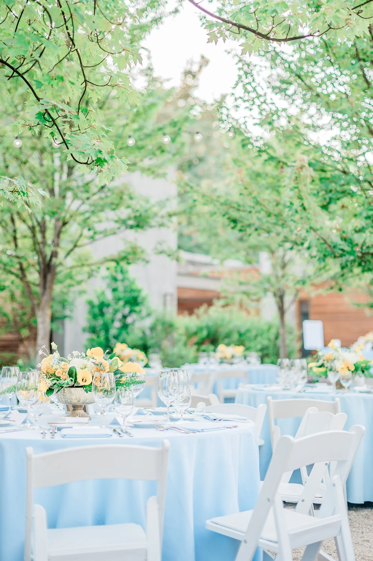 Micro Wedding Venues in Washington