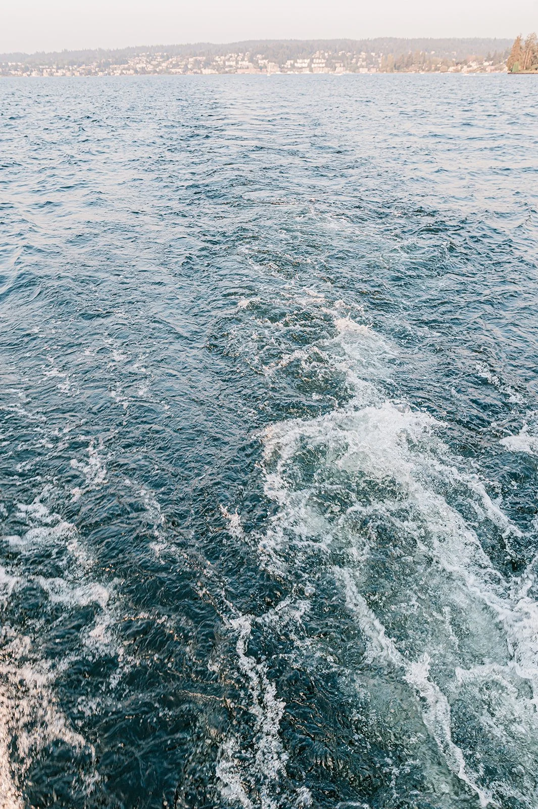 Bride & groom photos at chateau st. michelle in woodinville