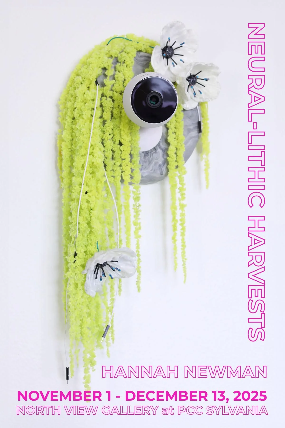 NLH Postcard Image_Newman.jpg