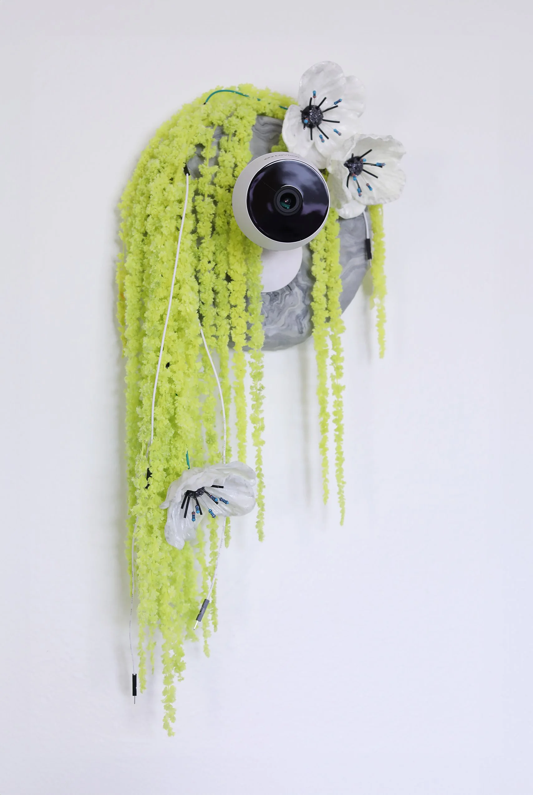 A Bounty of Surveillance for postcard_smaller.jpg