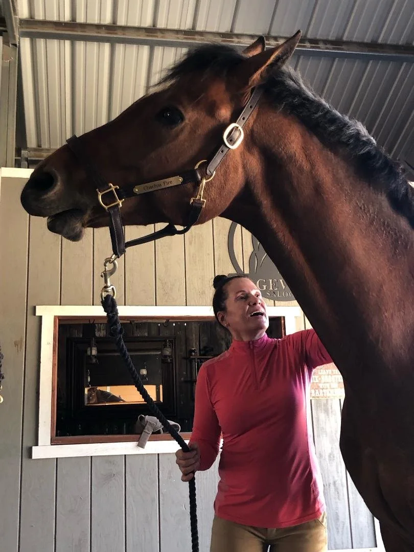 In-person equine craniosacral bodywork session in Reno, Nevada, supporting relaxation, balance, and well-being for horses