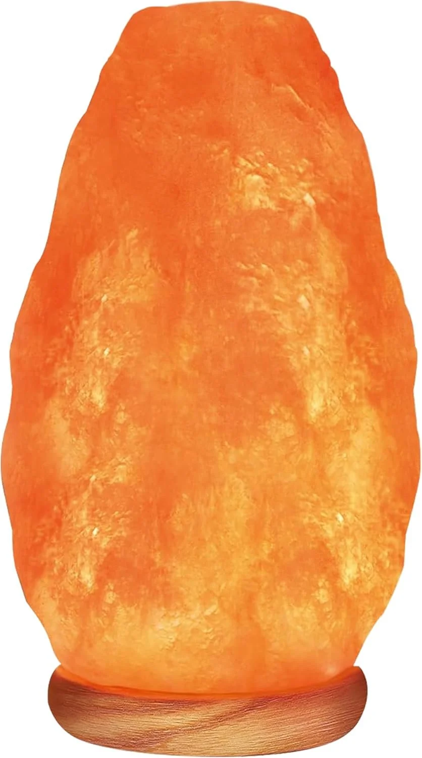 2026 Feng Shui Salt Lamp