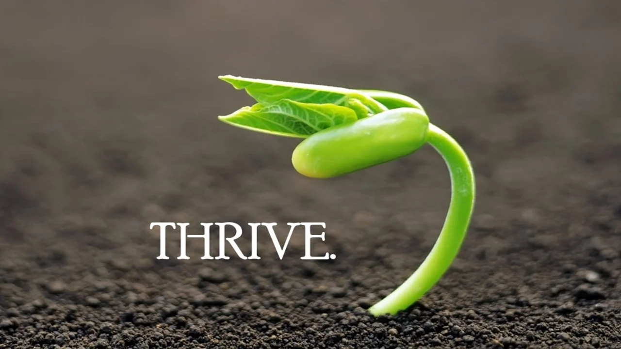 Thrive